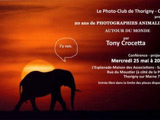 20 ans de photographies animalières par Tony CROCETTA