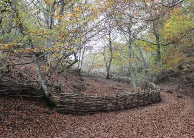 Automne en Auvergne, Florent