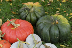 Fruits d'Automne, Patrick