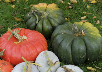 Fruits d'Automne, Patrick