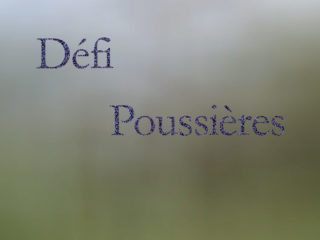 Défi « Poussière(s) ».